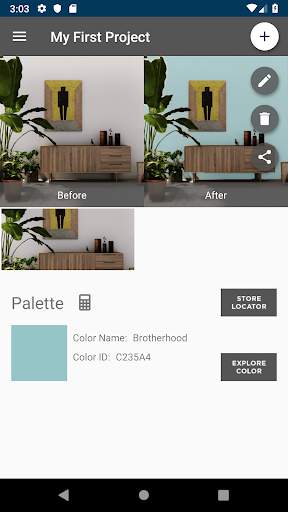 EasyCare® Color Design screenshot 4