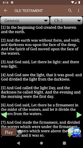 KJV Audio Bible screenshot 3