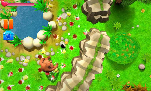 고슴도치 집에 간다 screenshot 5