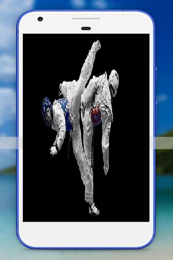 Taekwondo screenshot 2