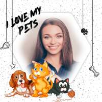 Pet photo Editor