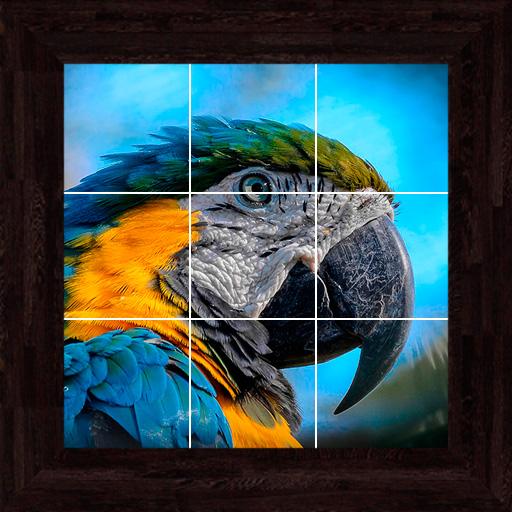 Birds Puzzles - 100 Pictures icon
