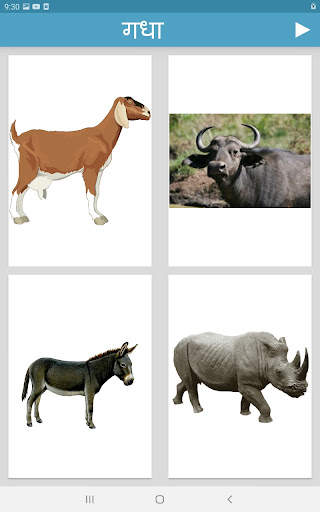 Learn Animals and Birds in Hin screenshot 11