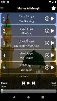 Naat Ringtones screenshot 11