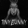 Tiny Bunny icon