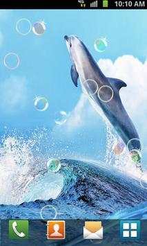 Dolphin Live Wallpaper screenshot 3