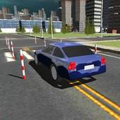 Dynamic Driving Test 3D 1.2