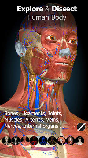 Anatomy Learning - 3D Atlas screenshot 1