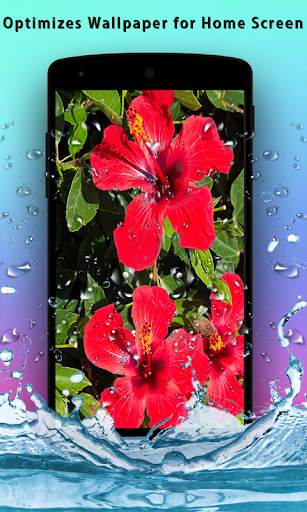 Hibiscus 3D Live Wallpaper скриншот 2