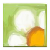 Ma Pensée Positive du Jour icon
