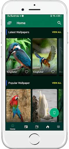 1000+ Birds Wallpapers 4K HD screenshot 2