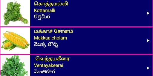 Learn Tamil From Telugu screenshot 14