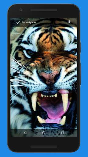 FluidWallpaper 😊- Automatic Switching for Free screenshot 3