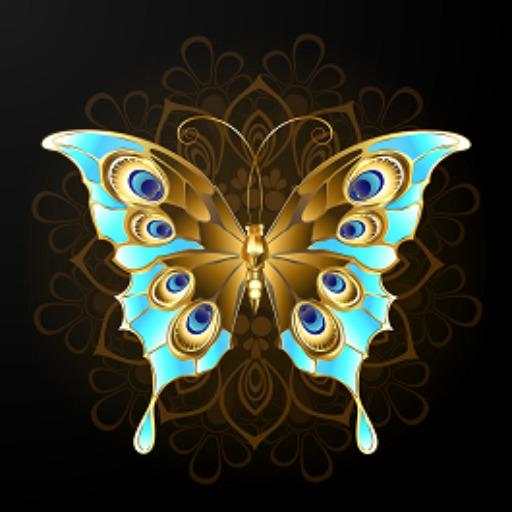 Butterfly VPN 2.0