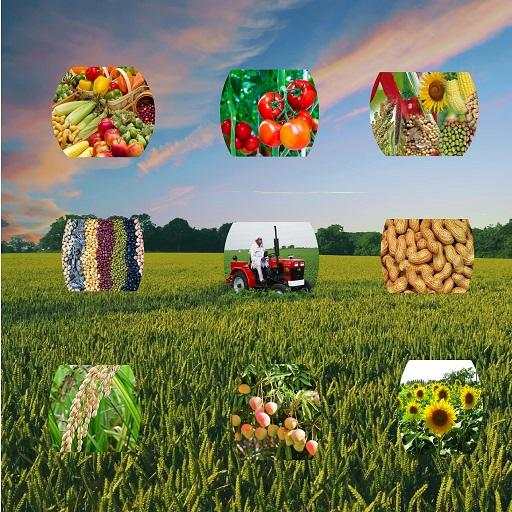 My Farmer - INDIA 1.1