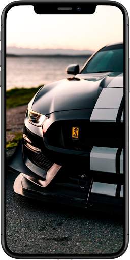 Fondos de Pantalla Muscle Cars स्क्रीनशॉट 8