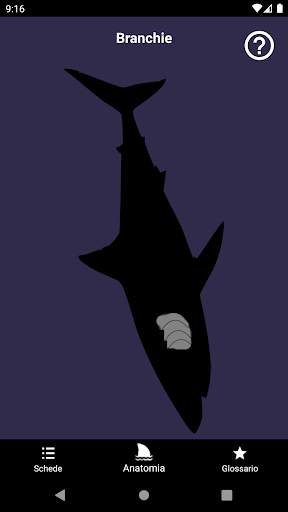 SharkApp screenshot 3