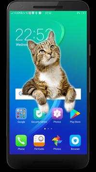 Cat On Screen screenshot 1