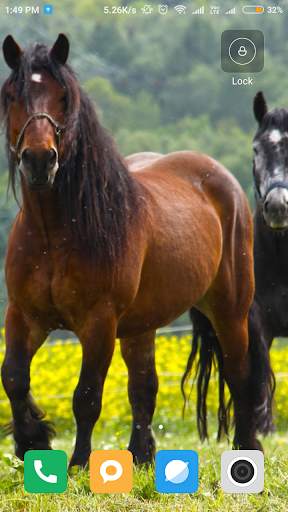 Horse Wallpaper HD screenshot 7