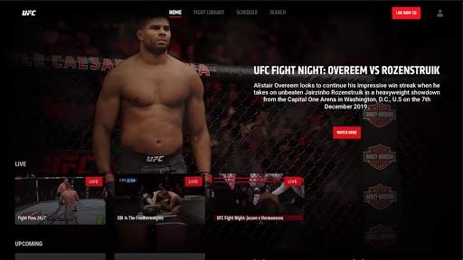 UFC screenshot 20