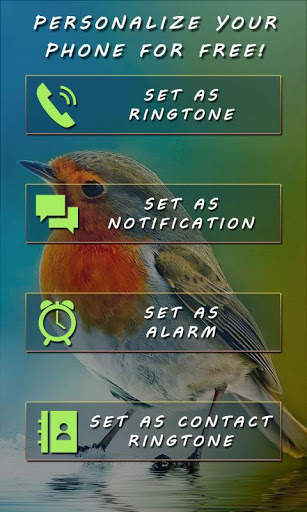 Latest Ringtones Free - Islamic & Birds Ringtones screenshot 1