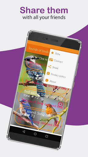 Sounds of birds. Songs and bird tones. screenshot 4