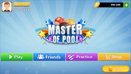 Pool Master screenshot 1