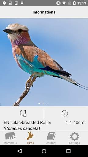 African Safariguide Lite screenshot 6