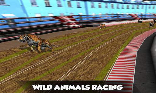 Crazy Real Dog Race: Greyhound Racing Game screenshot 4