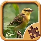 Birds Puzzle Games 2.5
