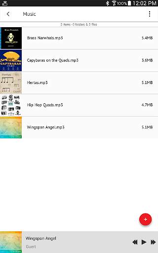Connect Drive screenshot 9