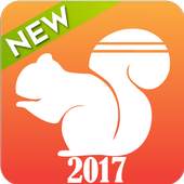 Fast UC Browser Guide 1.1