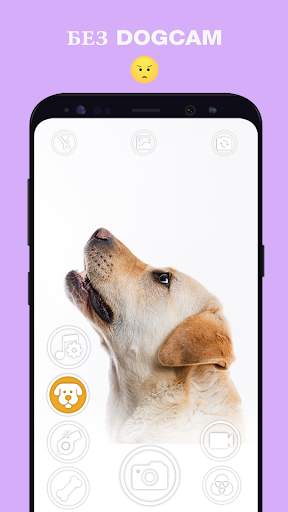 DogCam - Dog Selfie Filters and Camera скриншот 5