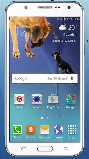 Cute Dog in Phone Funny walks screenshot 5