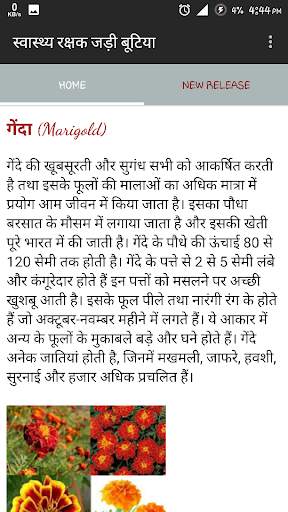 स्वास्थ्य रक्षक जड़ी बूटियाँ screenshot 2