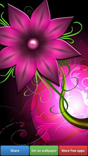 Flowers HD Wallpapers screenshot 5
