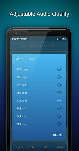 True Voice Recorder - No Ads - Gain Control screenshot 3