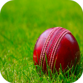 Cricket Wallpaper HD icon
