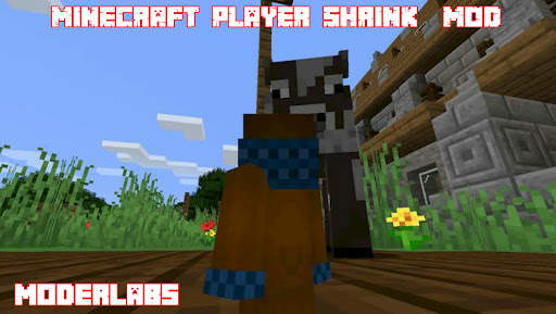 Player shrink mod screenshot 4