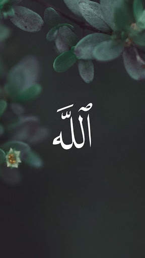 Allah Wallpapers screenshot 2