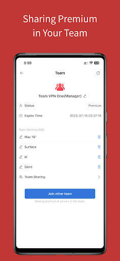 Team VPN screenshot 6