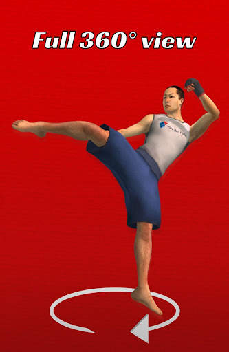 Fighting Trainer - Learn Martial Arts at Home screenshot 3