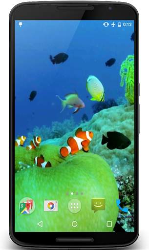 Clownfish Video Live Wallpaper screenshot 1