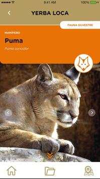Flora y fauna Lo Barnechea скриншот 5