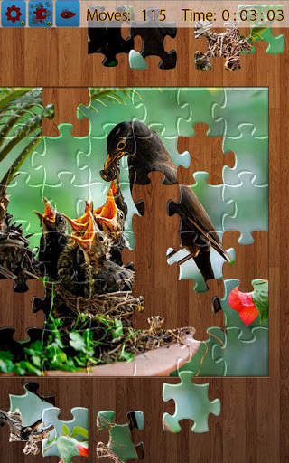 Birds Jigsaw Puzzles Game screenshot 11