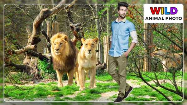 Wild Animal Photo Frames - Photo Editor screenshot 3