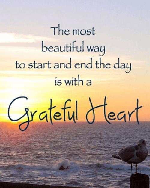 Thankful Quotes screenshot 2