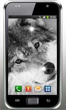 Wolves Voices HD liv wallpaper screenshot 4