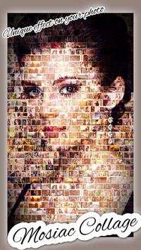 Mosaic Photo Creater screenshot 2