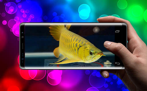 New Arowana Gold LiveWallpaper screenshot 4